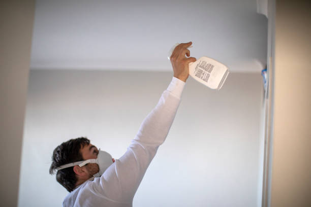 Best Crawl Space Mold Removal  in Alta Sierra, CA