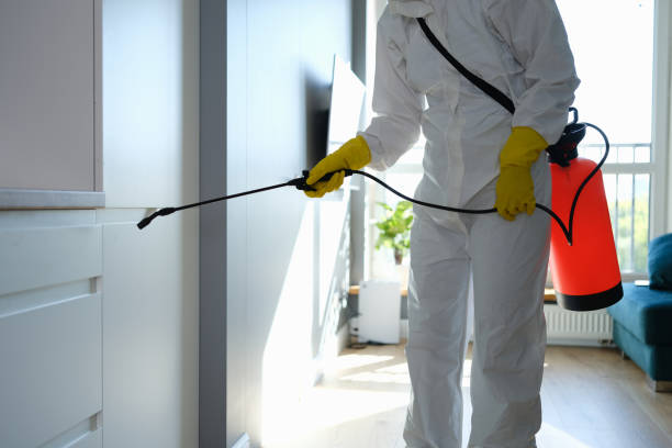 Certified Mold Removal in Alta Sierra, CA