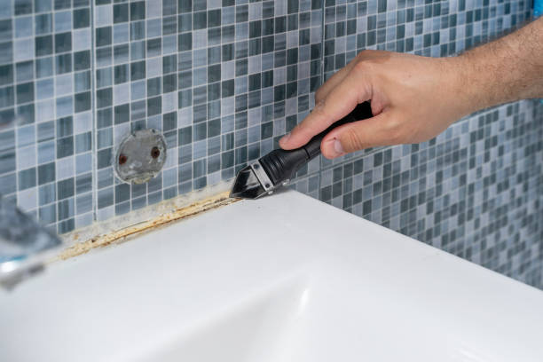 Best Same-Day Mold Removal  in Alta Sierra, CA